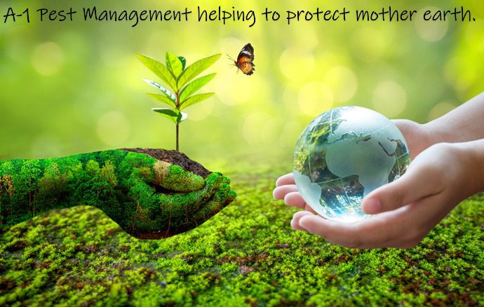 protect-the-environment 4 protect-the-environment 4